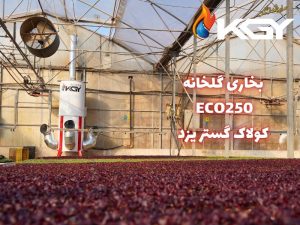 بخاری گلخانه با قیمت باورنکردنی